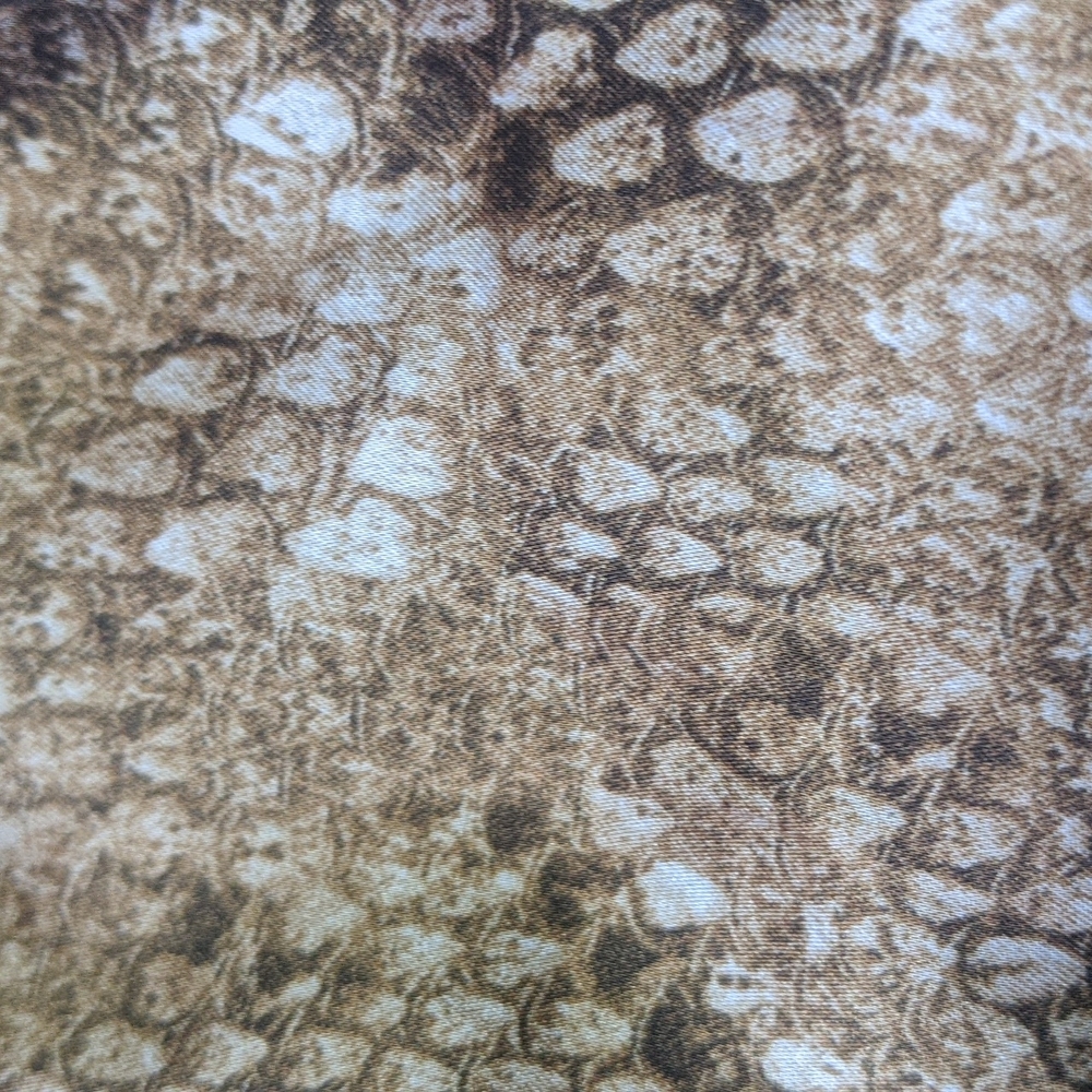 Zara Brown Snakeskin Tie Front Shorts S - Picture 7 of 7